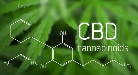 cbd_science_placeholder