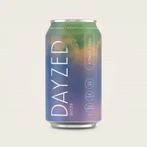 Dayzed Fruit Punch Botanical & Adaptogen Infused‬‭ Delta-9 4-pack