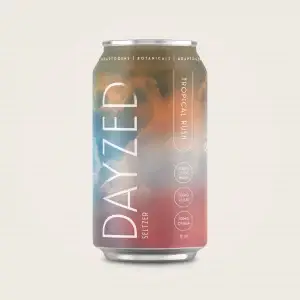 Dayzed Botanical & Adaptogenic Functional Mushroom Seltzer 4-Pack