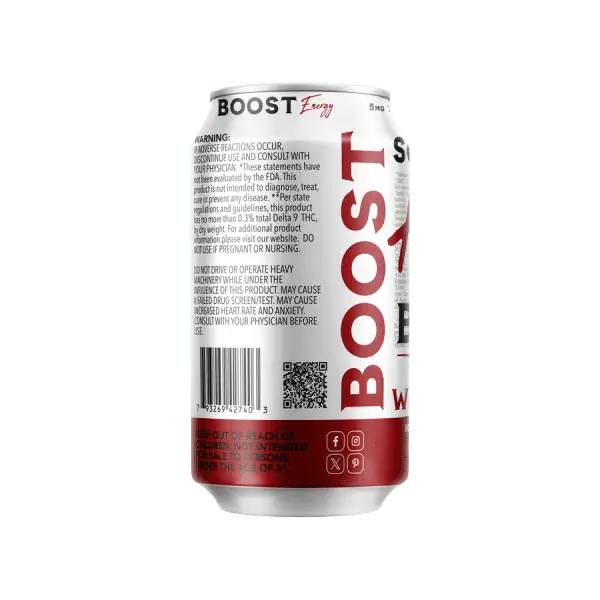 The Hemp Doctor Southern High BOOST Yerba Mate Seltzer 4-Pack - Image 3